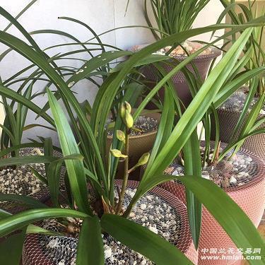 2021年中秋节祝福语(精选90条)
