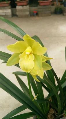 2021全新的早安句子 早上好的句子汇总50句