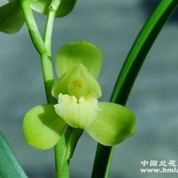 风萍浪迹