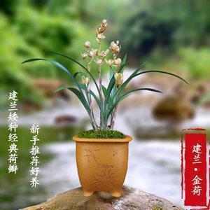 补厥挂漏