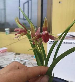 谩上不谩下