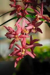 2020感人父亲节祝福语