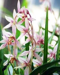 人物语言的句子70句