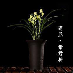 新年温馨祝福语说说 2022新年很好听的祝福语带图片