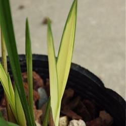 2021新年祝福语给老师