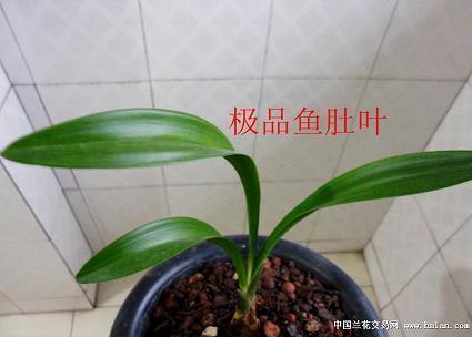 微信朋友圈伤感的说说心情