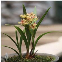 人心是慢慢变冷的句子 用沉默代替一切的句子(精选81句)