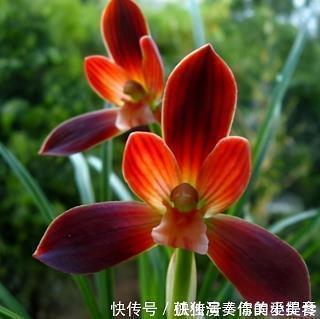 写给抛弃我的人说说48句