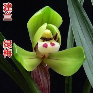门庭赫奕