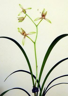 2021中秋节团圆祝福简短一段话(精选94条)