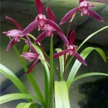 一个人的倔强说说心情 关于性格倔强的个性说说(精选38句)