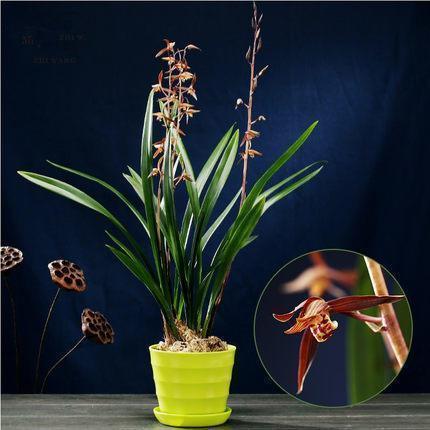 冬至快乐的句子优美