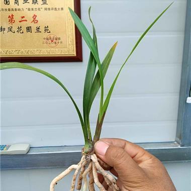 2021年教师节祝福语简短优美暖心语录汇总97句