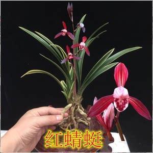 2021劳动节简短祝福语大全合集74句