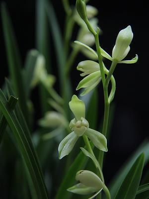 五四青年节的优美句子 五四青年节祝贺词精选86句
