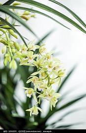 2021大寒和腊八祝福语暖心句子
