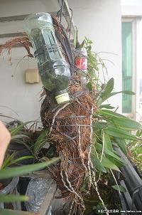 2021年祝福老师的话语句句暖人心(精选33条)