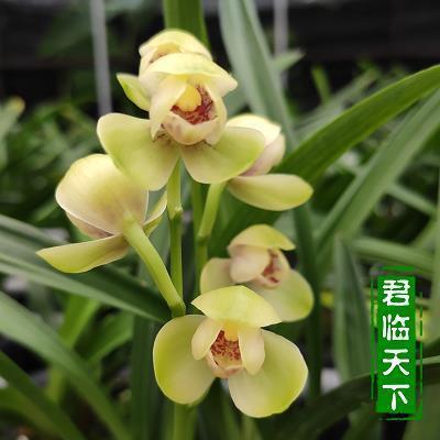 2021一句暖心的生日祝福语