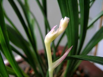 心堵压抑的伤感说说