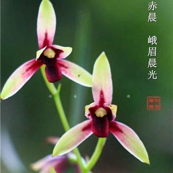 酒酸不售