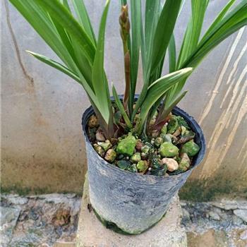 2021教师节祝语一句话带过(精选59条)