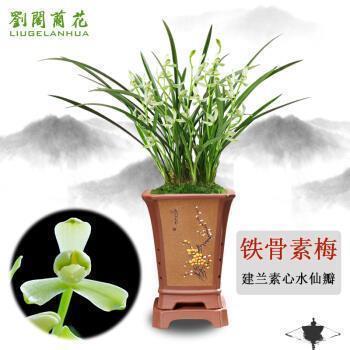 感动人的浪漫说说25句