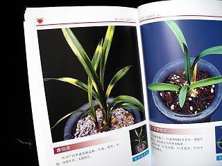 一句话骂人不带脏字 关于一句话骂人的说说(精选48句)