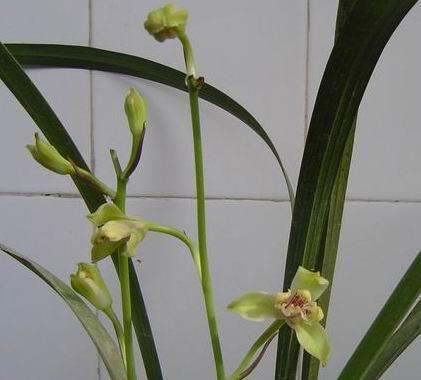 年底清账的句子发朋友圈 年底要账的朋友圈怎么发汇编34句