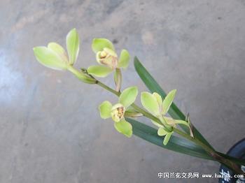 很现实却又有道理的说说 生活教给我们的一些哲理