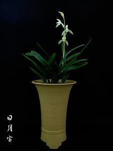 中秋节心情文案说说(精选95句)