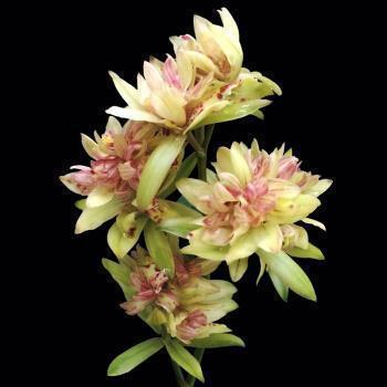 2021公司周年庆典祝福语