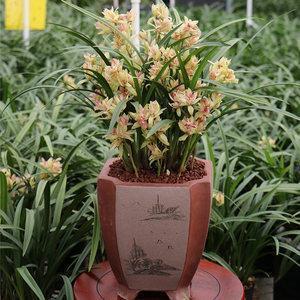 天气变凉优美句子(精选98句)