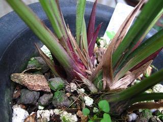 2021庆国庆主题词及句子大全(精选34条)