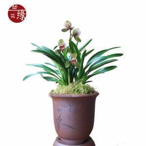 重熙累绩