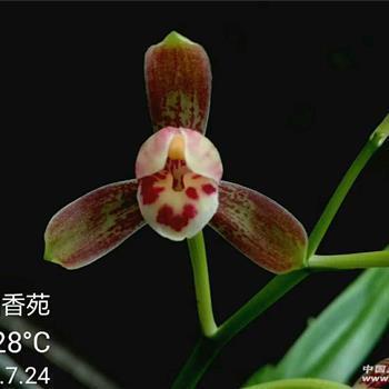 2020年的全文最火睡前发朋友圈超治愈温柔文案合集86句