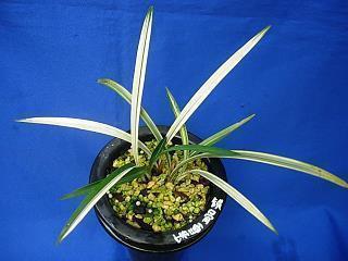 微信朋友圈最耀眼的句子，说的太好了！精选30句