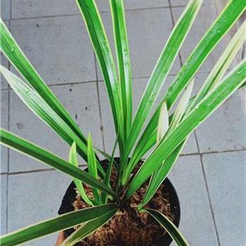 2021关于开学欢迎标语(精选78句)