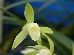 50字经典句子64句