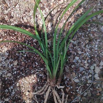 形容等待焦虑的句子