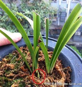 2021建军节最新的祝福军人的说说句子大全