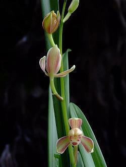 感到撕心裂肺的经典说说