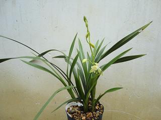 女人想要的安全感句子 女生没有安全感的说说简短(精选15句)