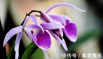 踝胫