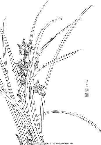 髁
