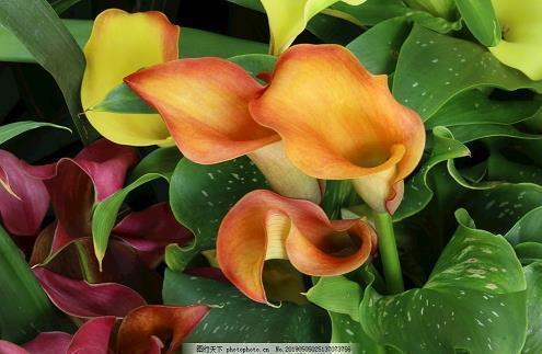 2021发给孩子新年祝福语好句子