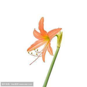 能给对象安全感的句子精选40句