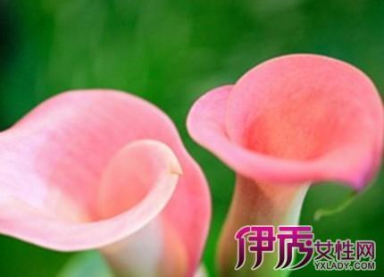 长恶靡悛