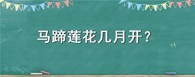 纁雁