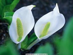 2021元宵节简单经典的一句话最火祝福语