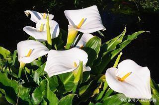 2021劳动节文字祝福语合集97句